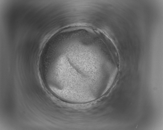 X0000073980001200609051923