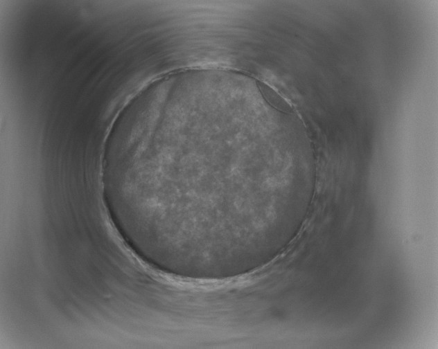 X0000073980002200609051923