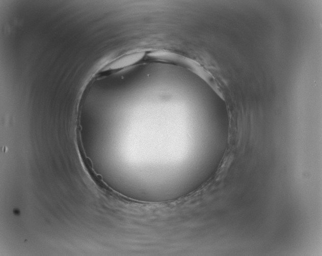 X0000073980003200609051923