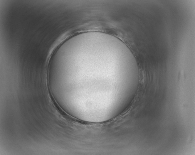 X0000073980004200609051923