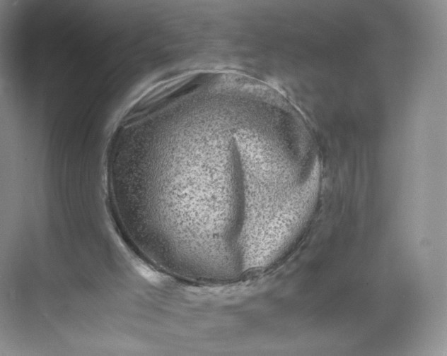 X0000073980005200609051923