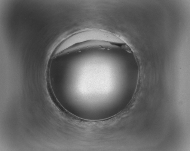 X0000073980007200609051923