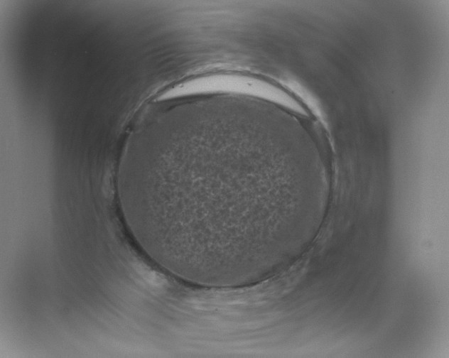 X0000073980009200609051923