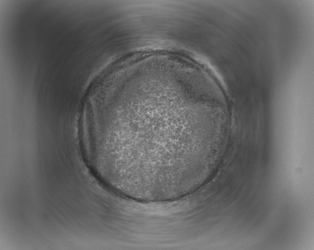 X0000073980010200609051923