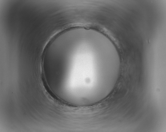 X0000073980011200609051923