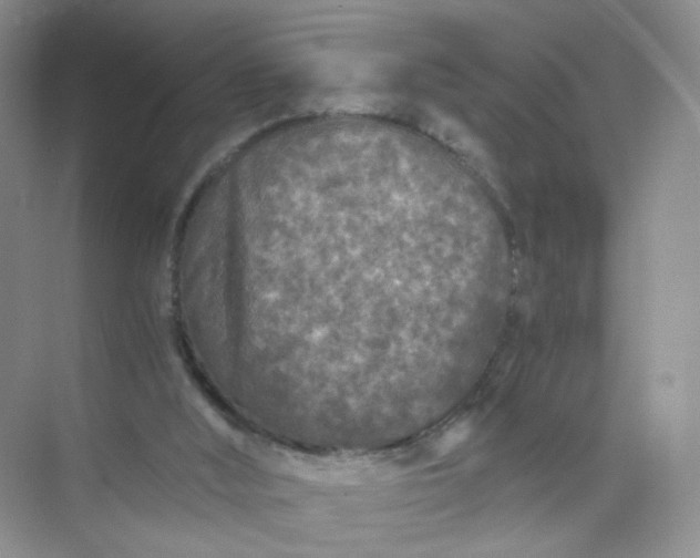 X0000073980012200609051923