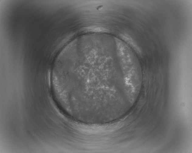 X0000073980014200609051923