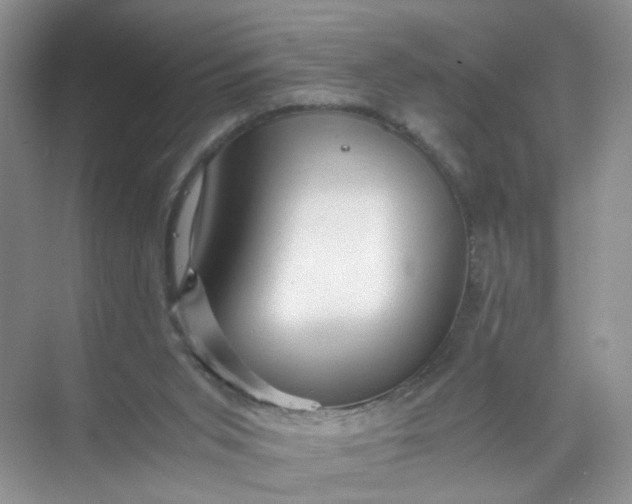 X0000073980015200609051923