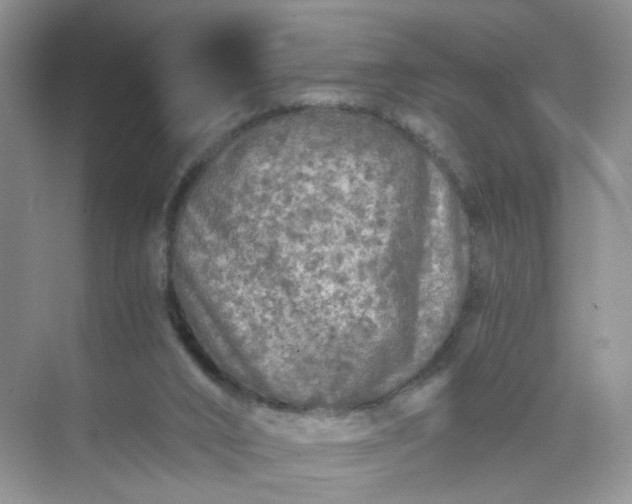 X0000073980016200609051923