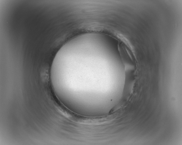 X0000073980017200609051923