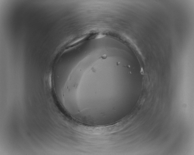 X0000073980019200609051923