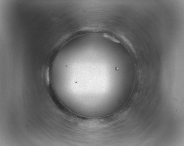 X0000073980020200609051923