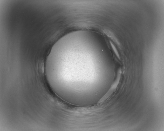 X0000073980021200609051923