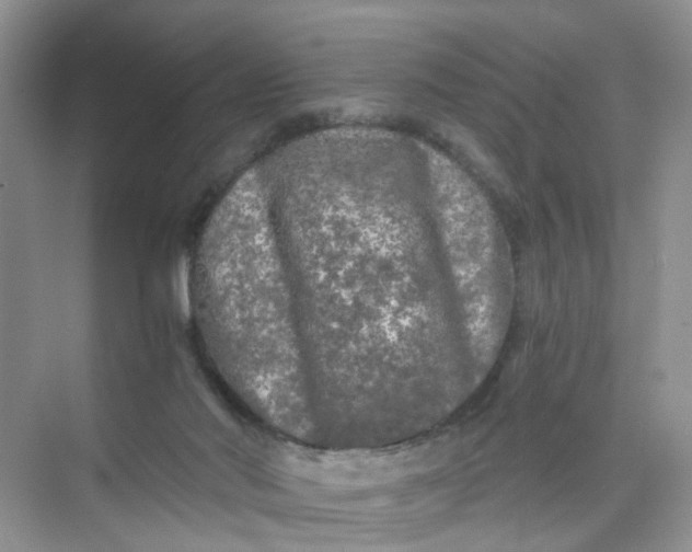 X0000073980022200609051923