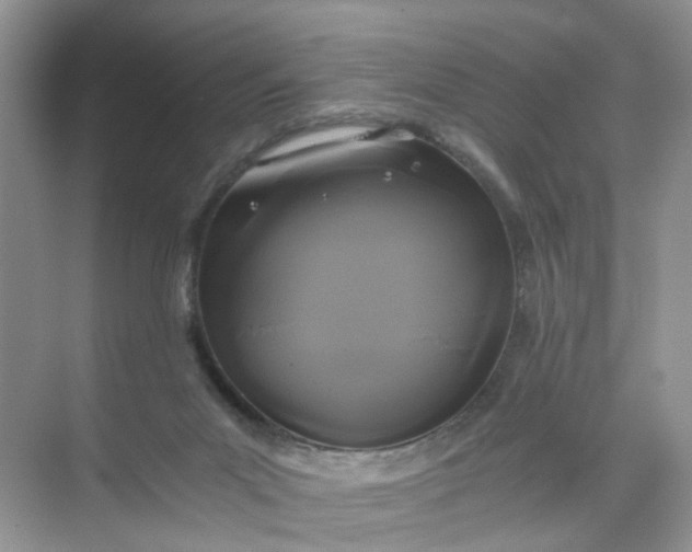 X0000073980023200609051923