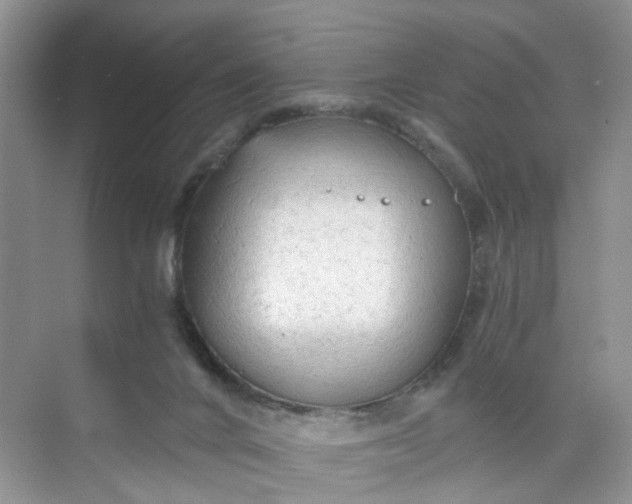 X0000073980024200609051923