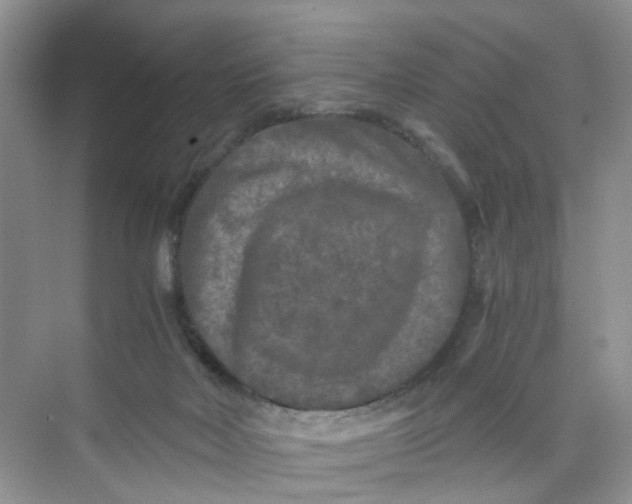 X0000073980026200609051923