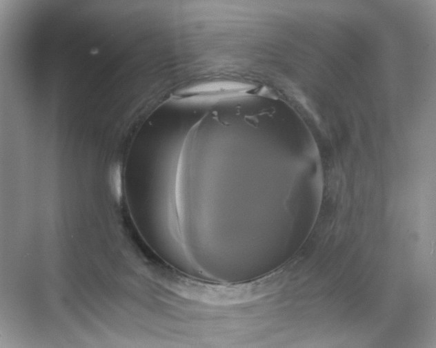 X0000073980027200609051923