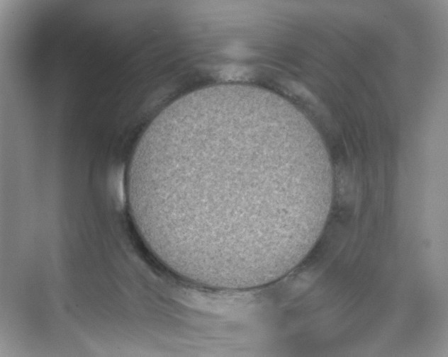 X0000073980028200609051923