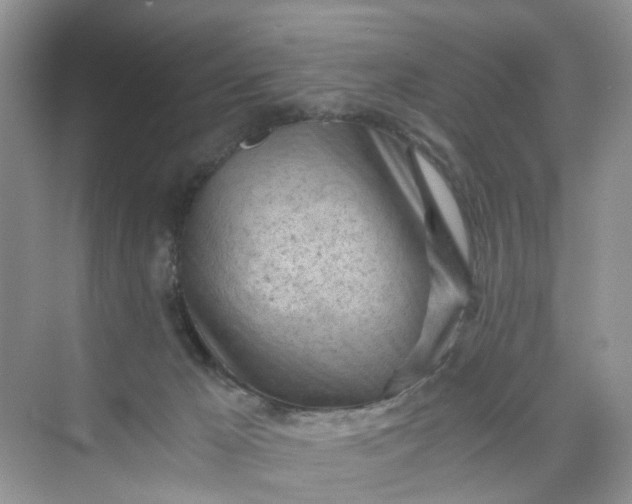 X0000073980029200609051923