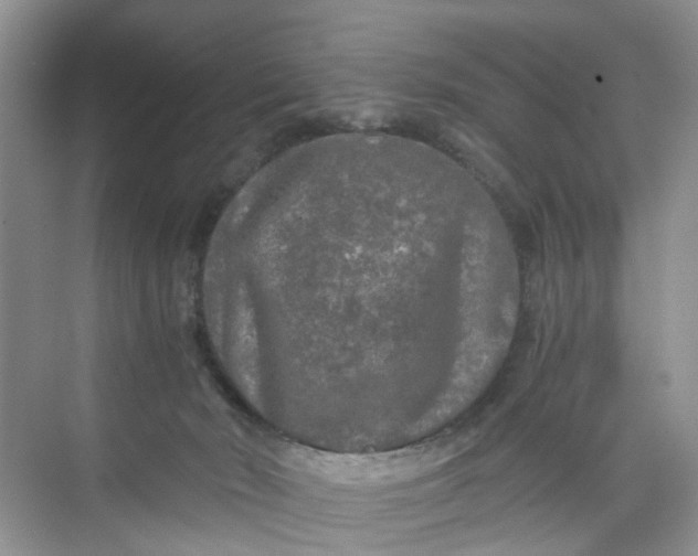 X0000073980030200609051923