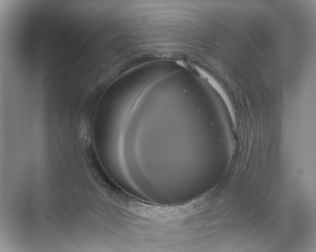 X0000073980031200609051923