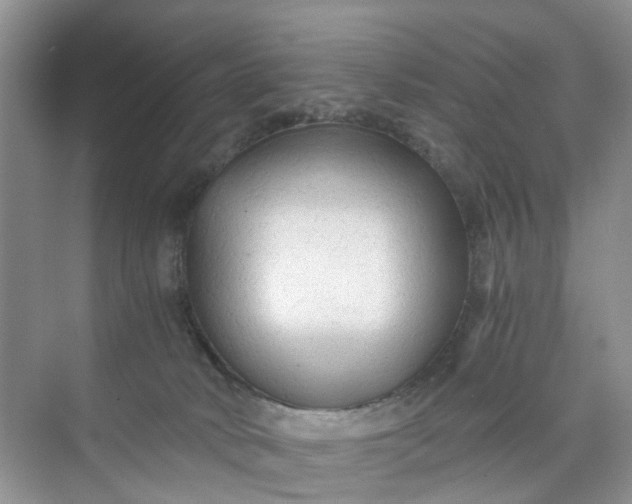 X0000073980034200609051922