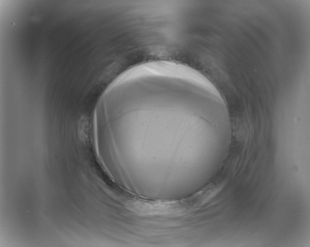 X0000073980036200609051922