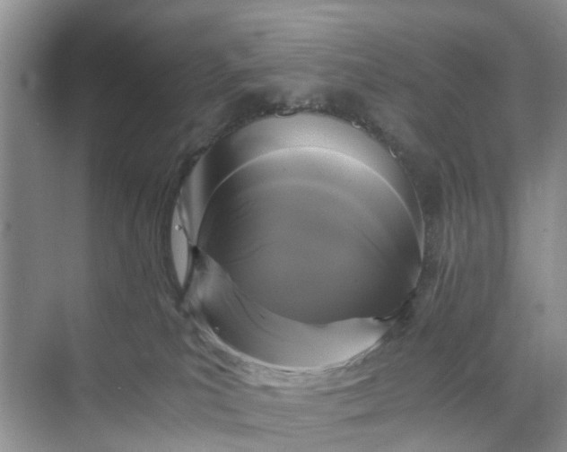 X0000073980039200609051922