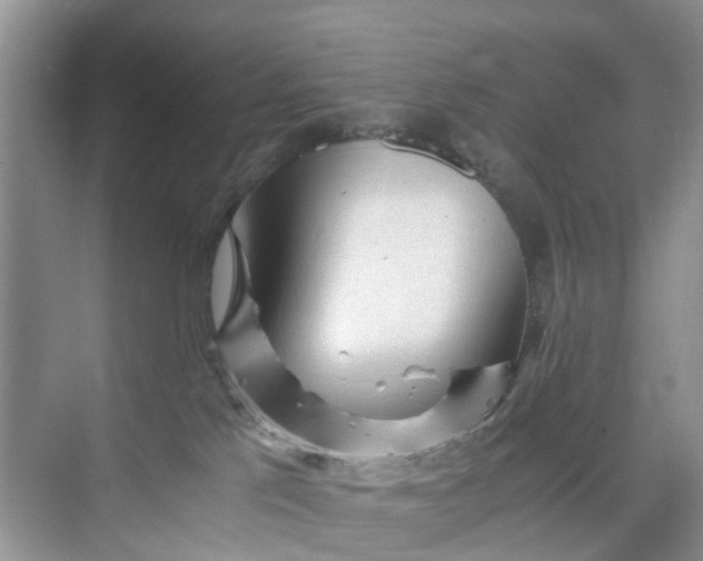 X0000073980041200609051922