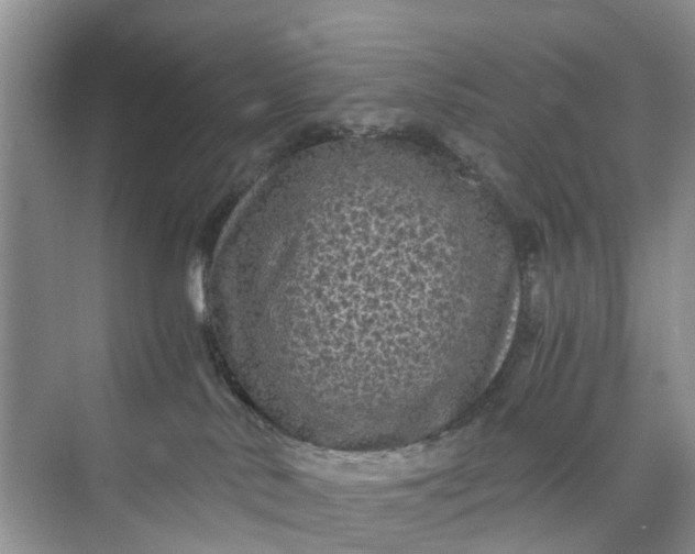 X0000073980042200609051922