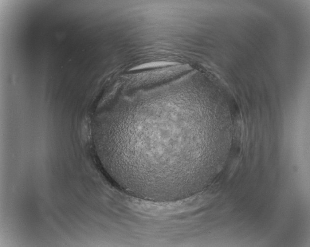 X0000073980043200609051922