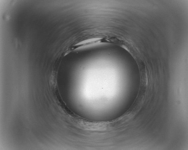 X0000073980044200609051922