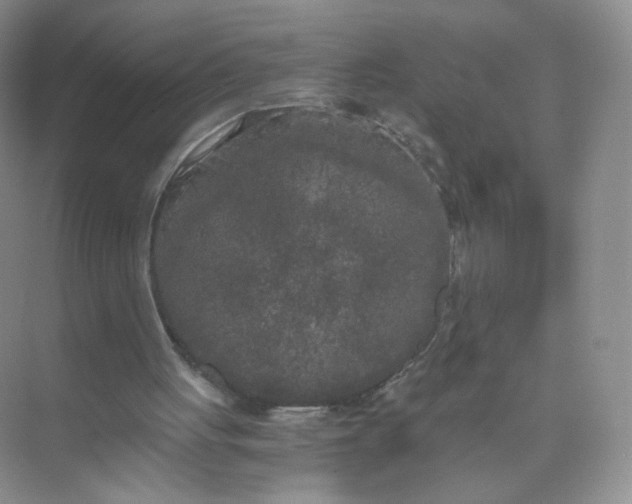 X0000073980051200609051921