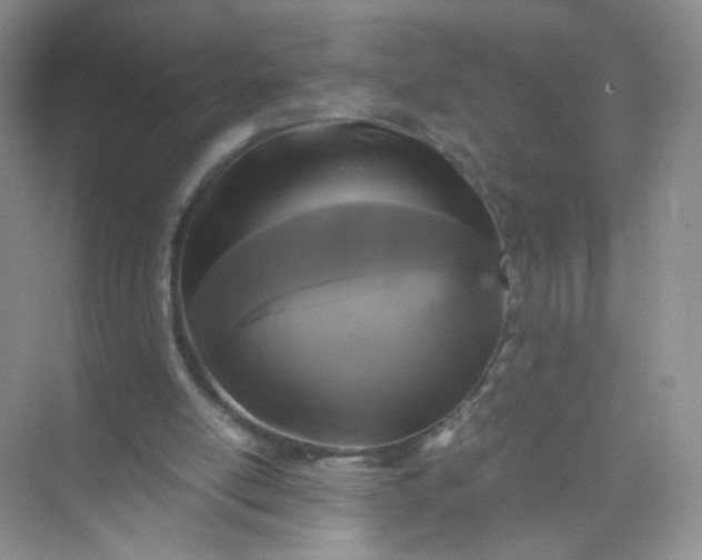 X0000073980054200609051922