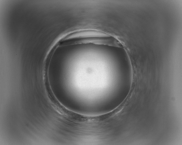 X0000073980056200609051922