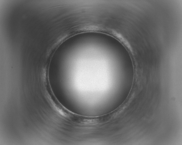 X0000073980057200609051922