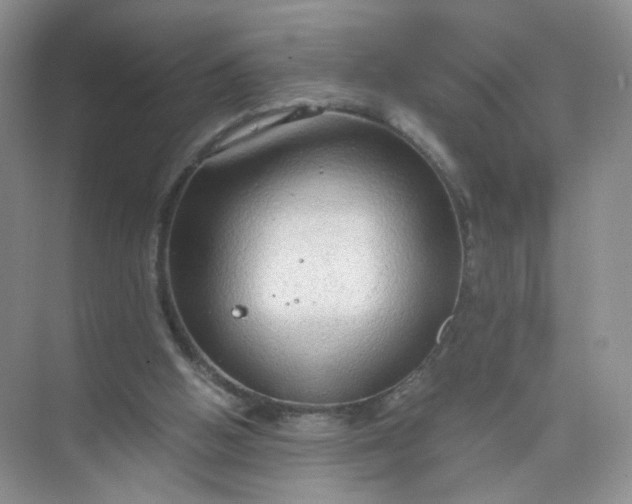 X0000073980058200609051922