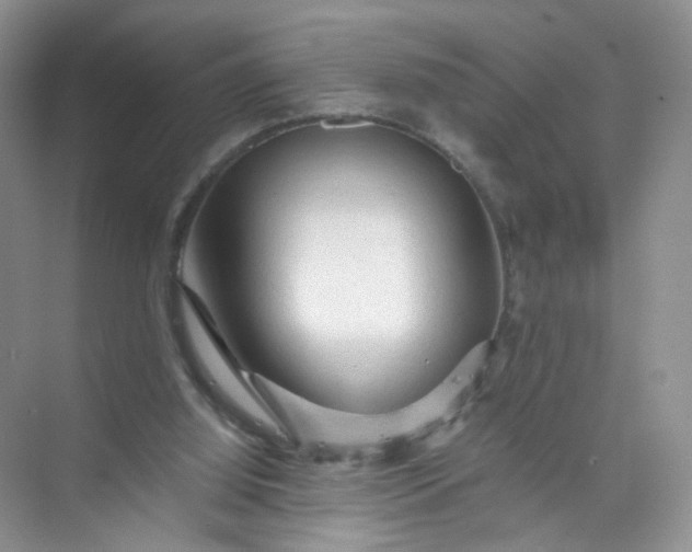 X0000073980060200609051922