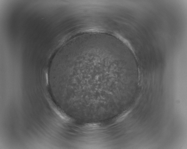 X0000073980061200609051922