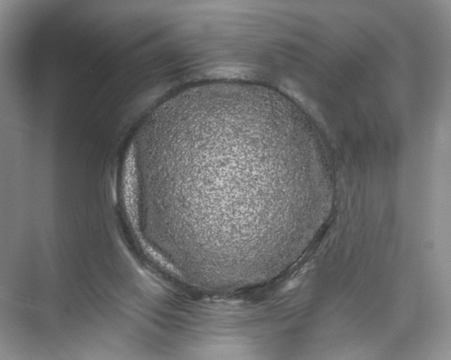 X0000073980062200609051922