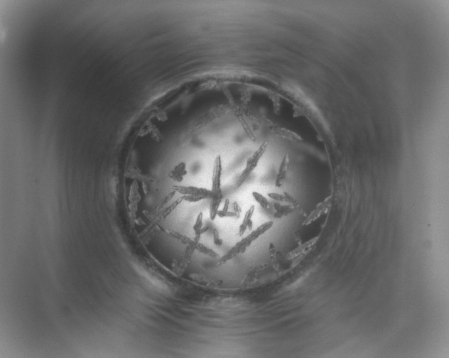 X0000073980063200609051922