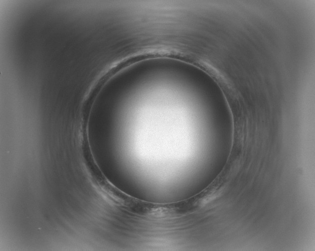 X0000073980064200609051922