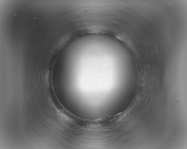 X0000073980066200609051922