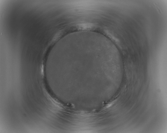 X0000073980067200609051922