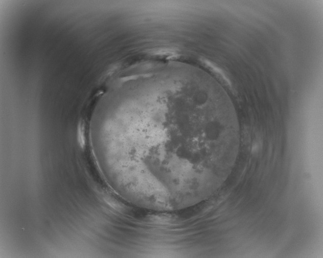 X0000073980069200609051922