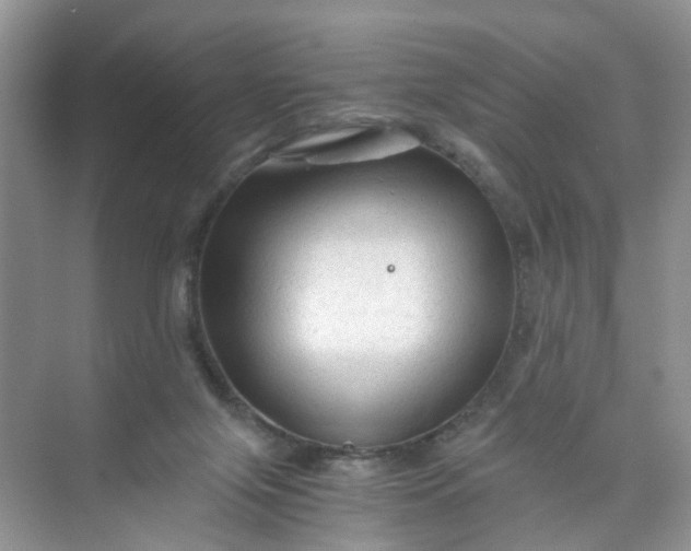 X0000073980071200609051922