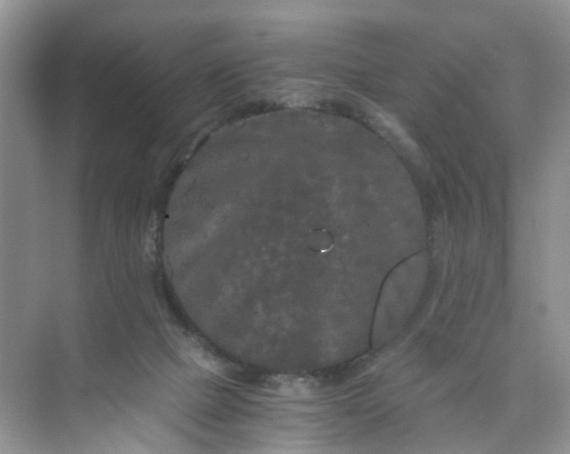 X0000073980073200609051922