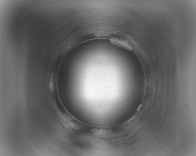 X0000073980074200609051922