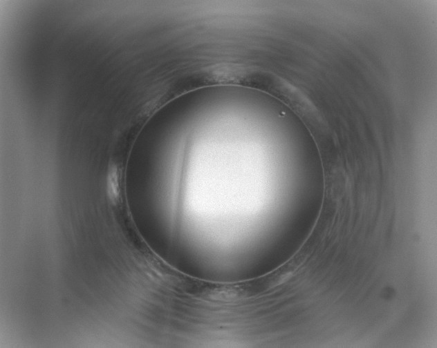 X0000073980075200609051922